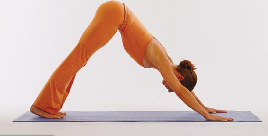 10270316_10203865097373986_1910696302487998529_n