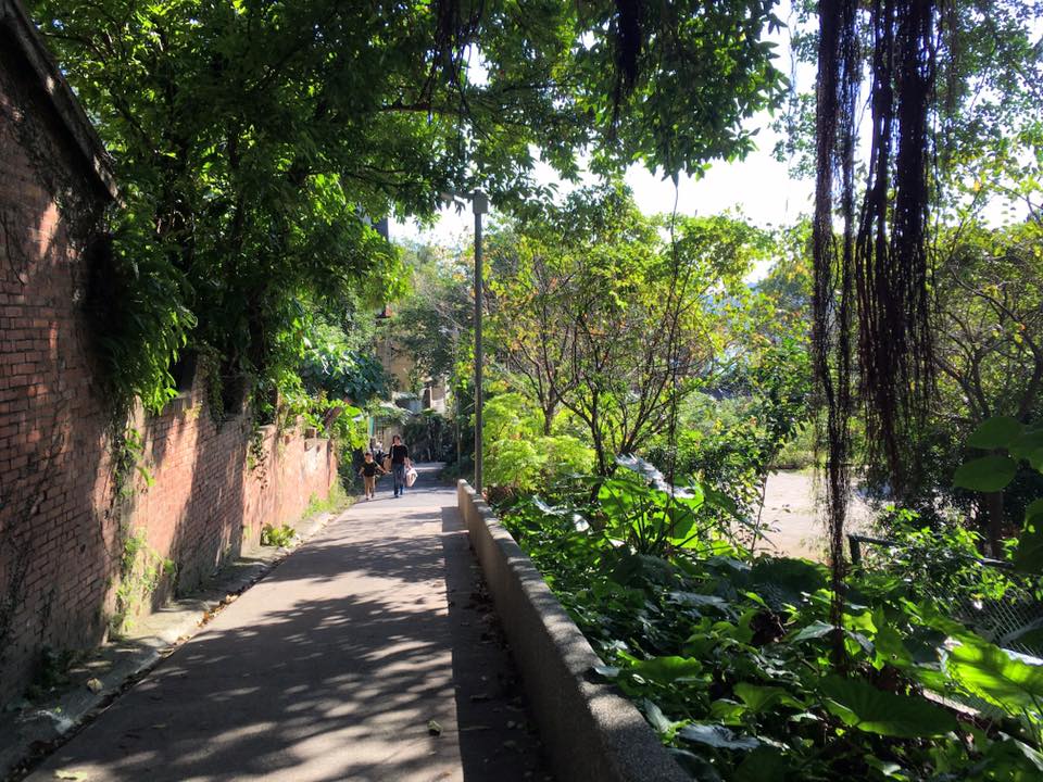 15542368_10211619135660097_808355407157998706_n